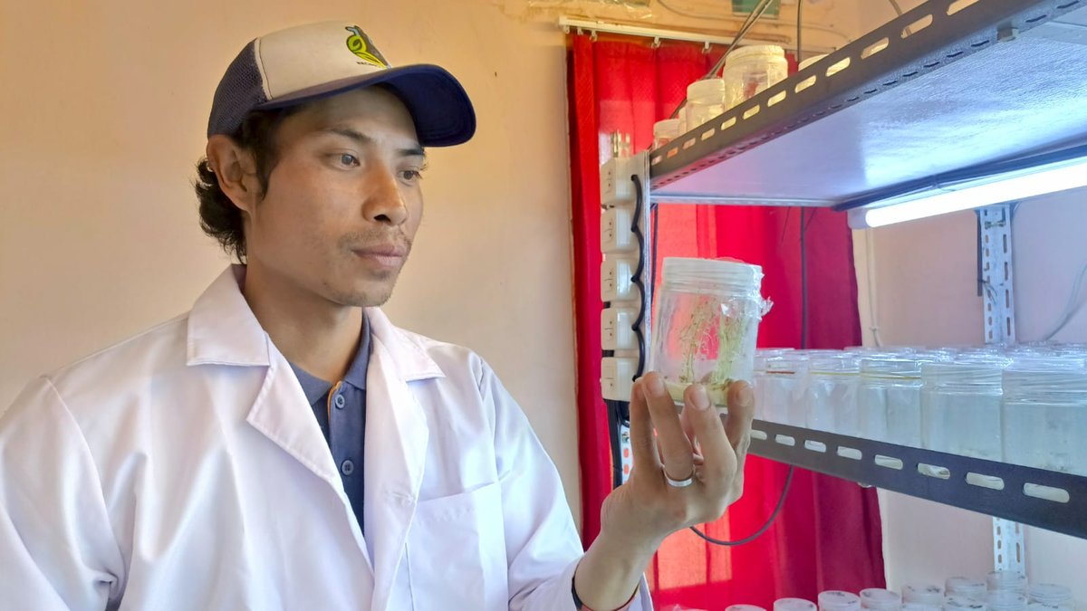 2afa6d62 db5e 4e89 8265 b15a65c898e5