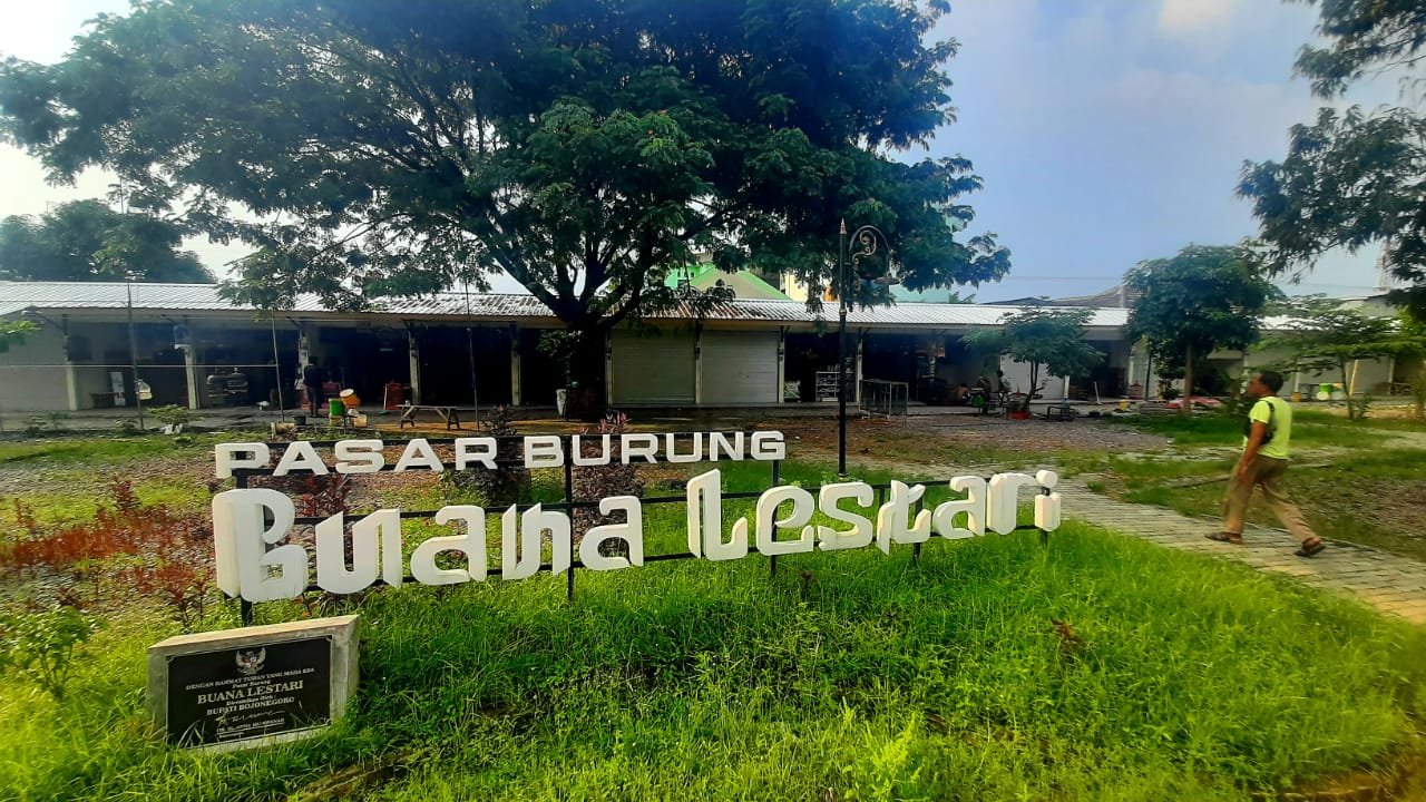 WhatsApp Image 2024 11 30 at 14.49.13