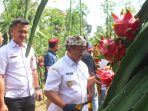 pupuk kaltim pupuk kaltim