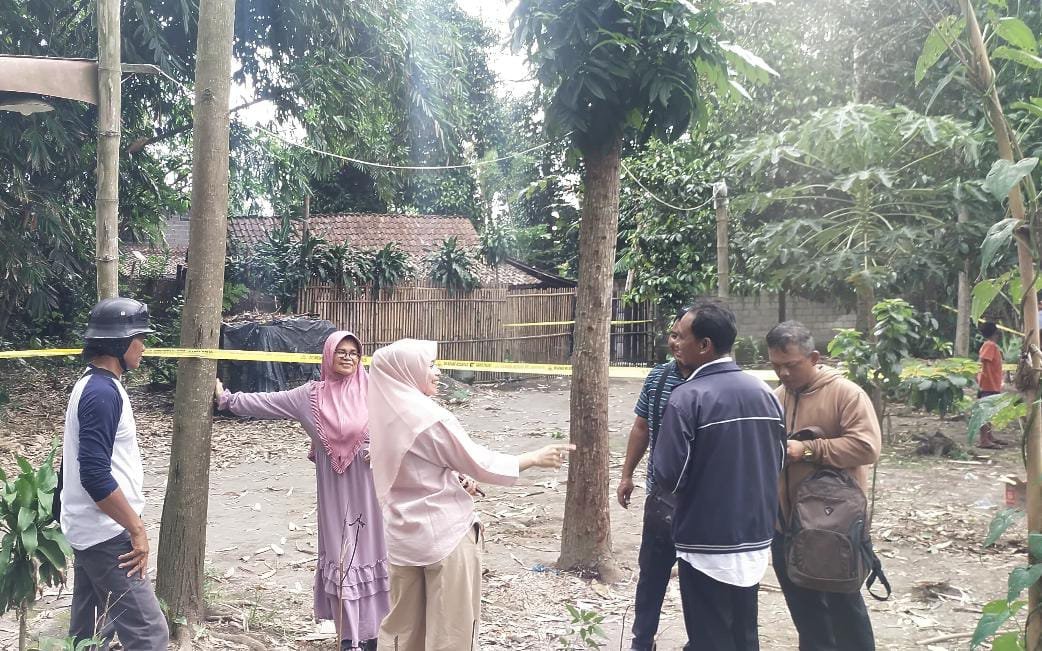 34c987cf 3369 497e a2cb 38218ae656e6