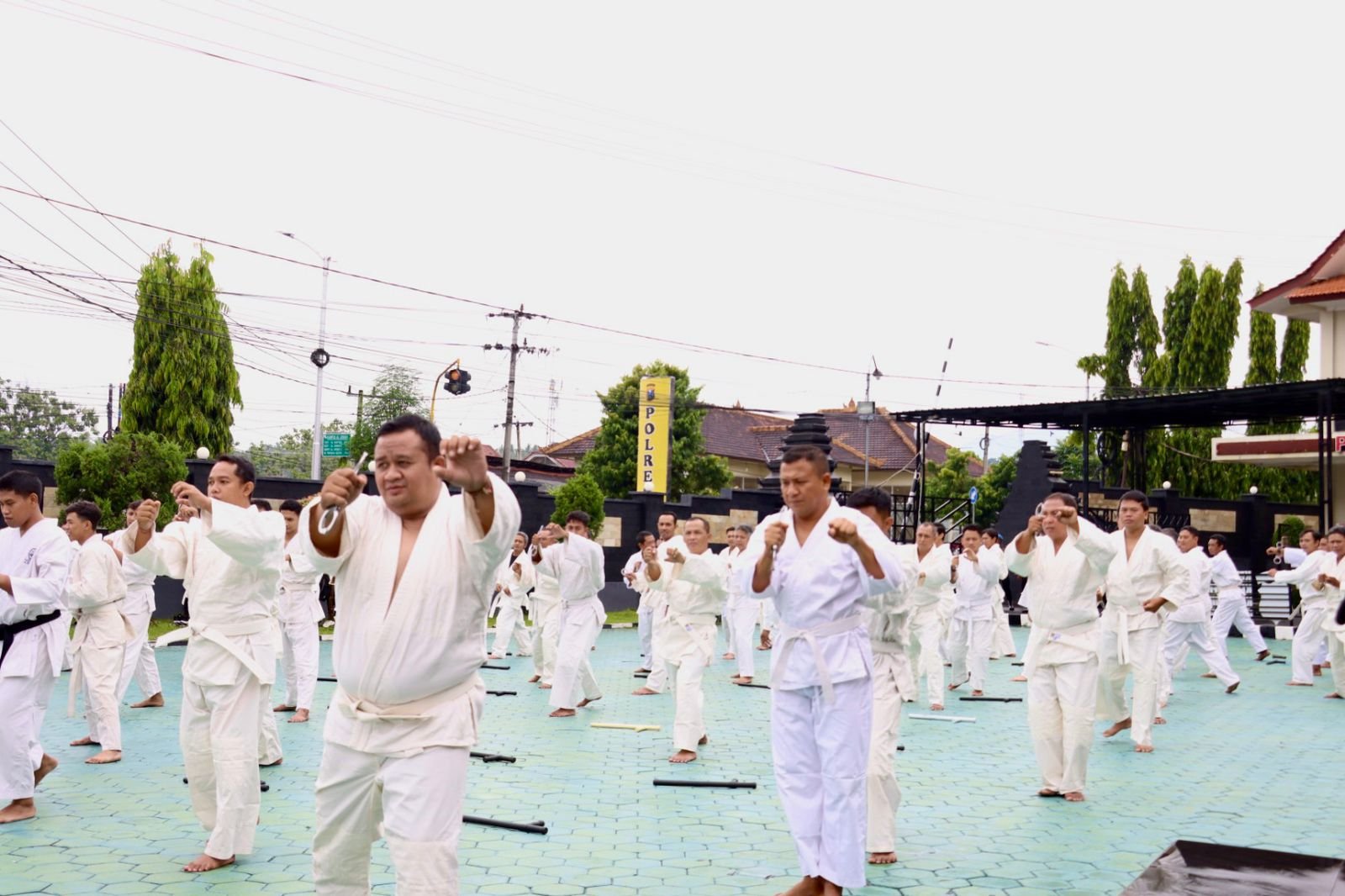 IMG-20241213-WA0041 IMG 20241213 WA0041