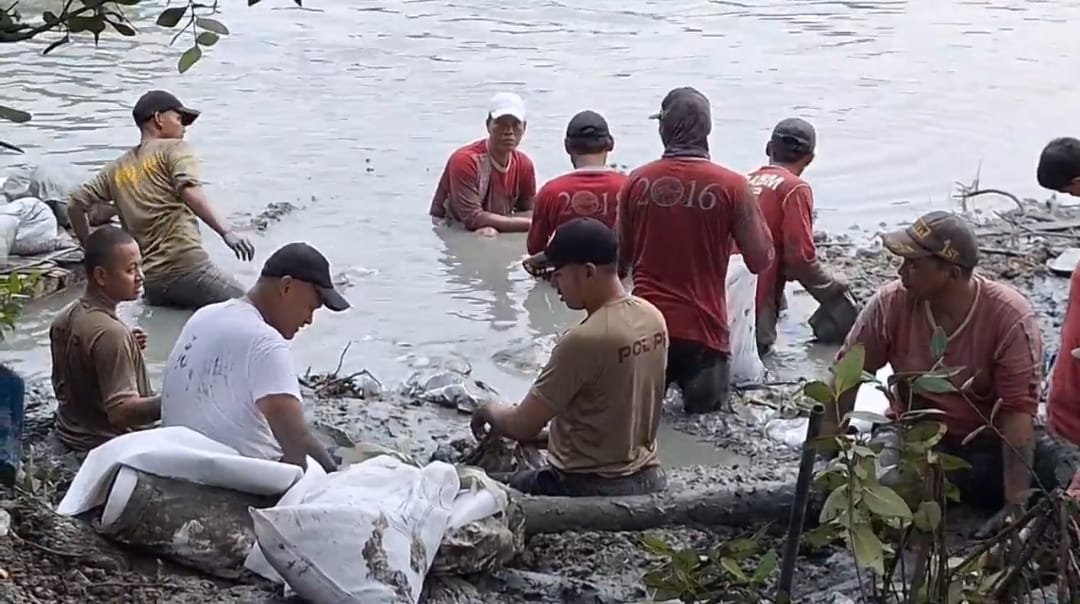 IMG-20241217-WA0036 IMG 20241217 WA0036