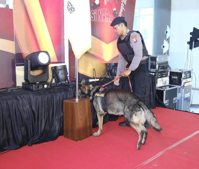 WhatsApp Image 2024 12 03 at 15.05.34