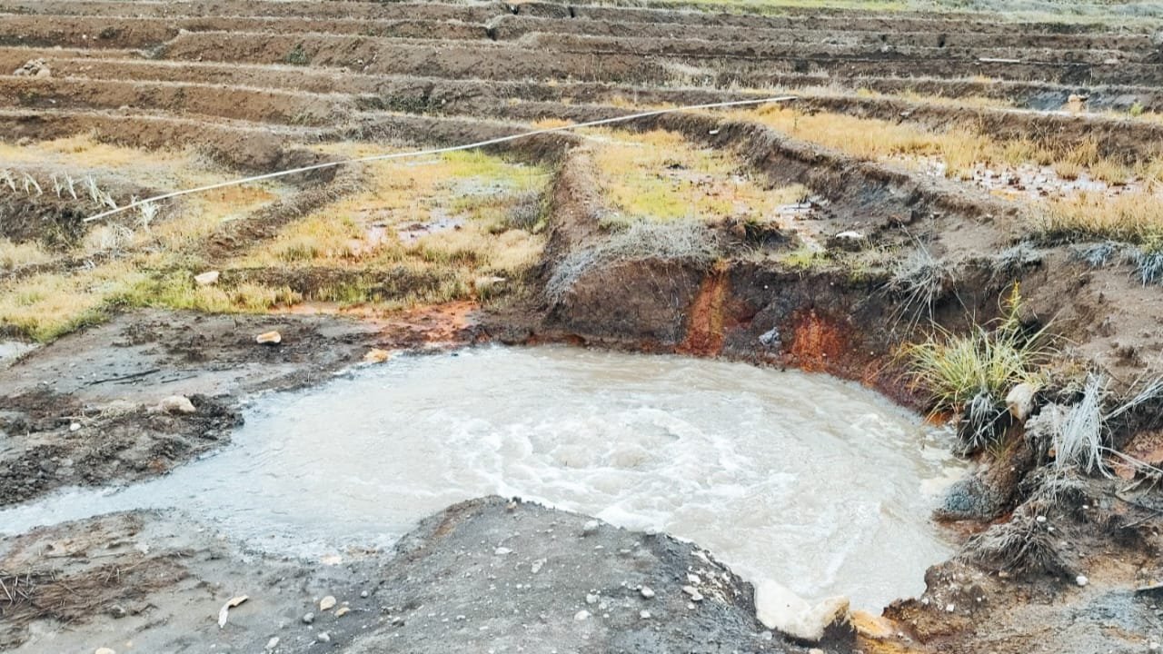 WhatsApp Image 2024 12 13 at 12.36.35