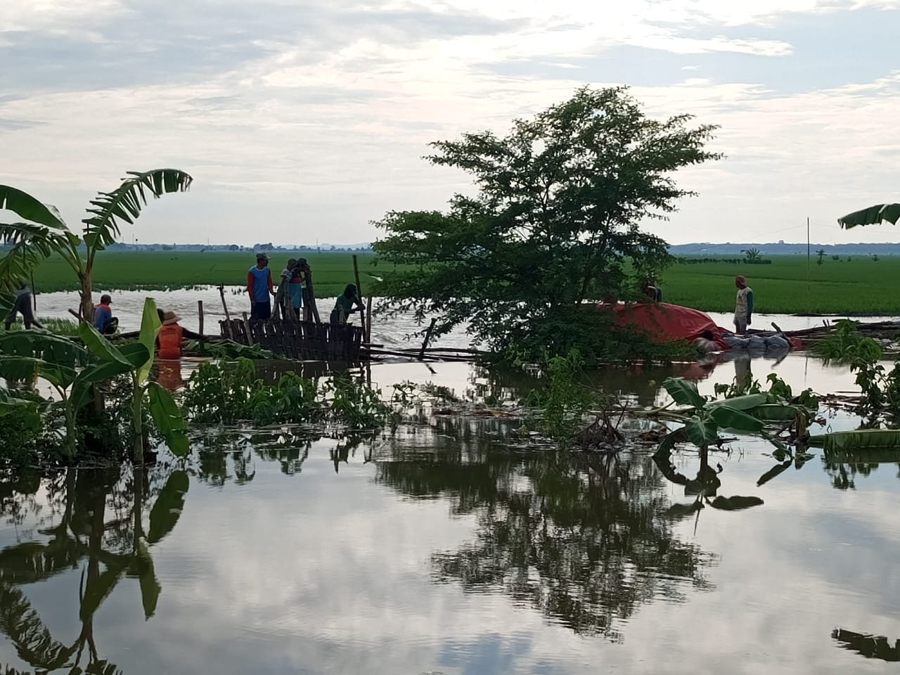 WhatsApp Image 2024 12 18 at 11.35.01