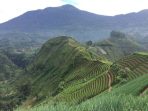 majalengka