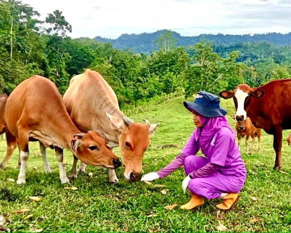 IMG-20250112-WA0023 IMG 20250112 WA0023