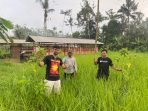 IMG 20250117 WA0022