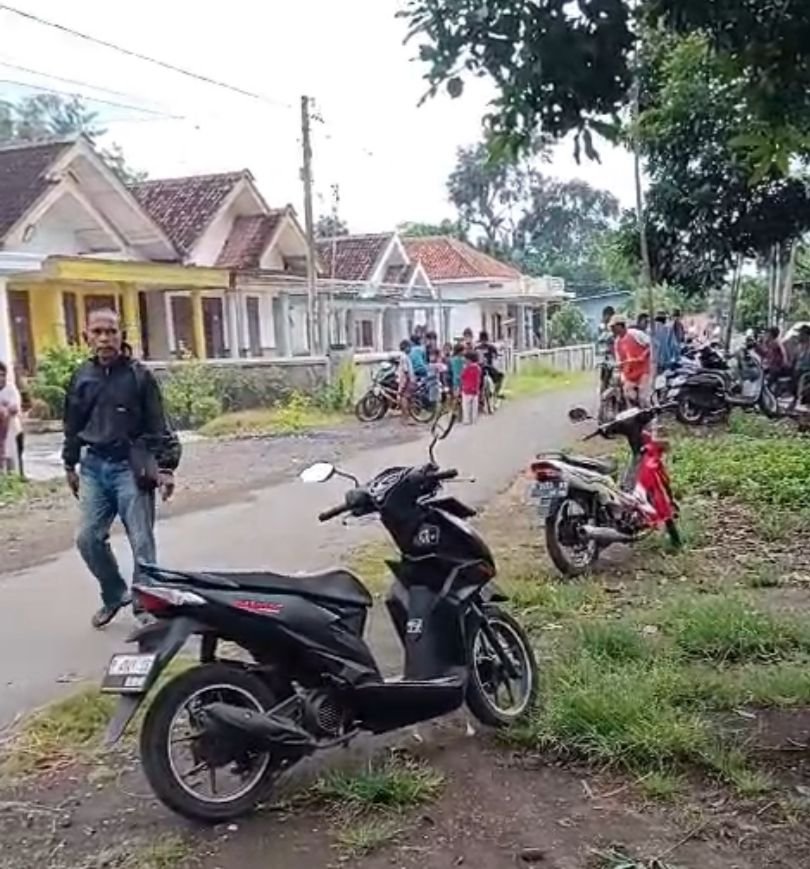 IMG 20250127 WA0019 1