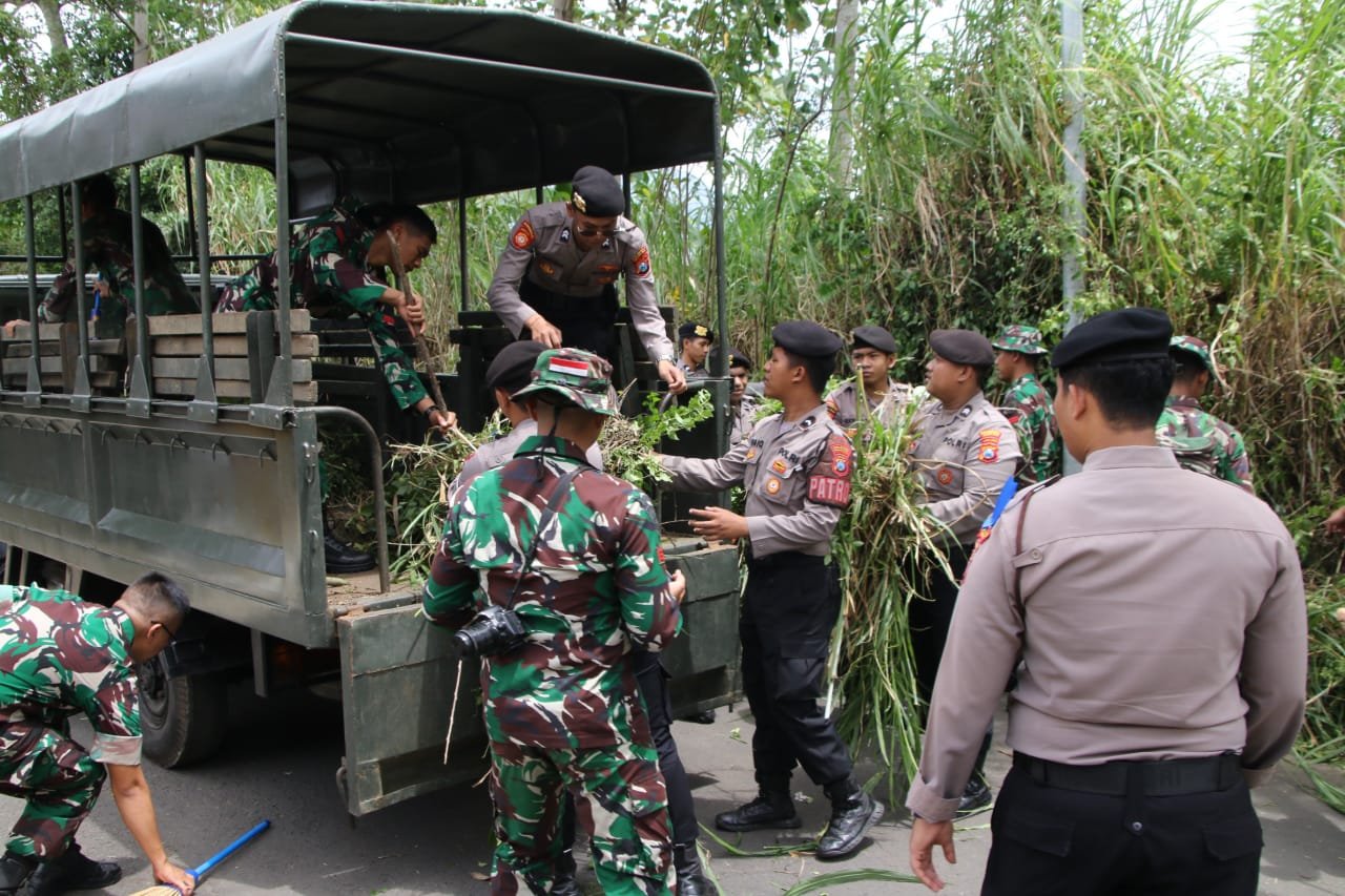 1d5cd9e0 8ef7 4b2a aedc 4360ba89762e