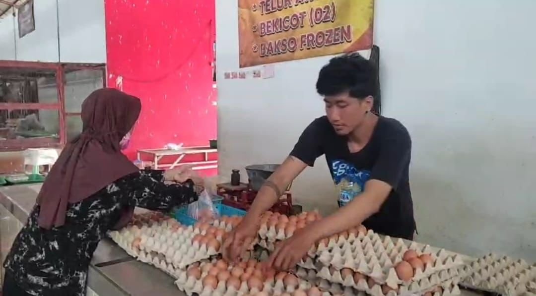 5d17f8b6-d420-4270-9db6-9d370d713b83 5d17f8b6 d420 4270 9db6 9d370d713b83