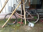 IMG 20250207 WA0018