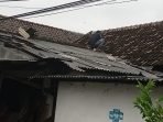 IMG 20250218 WA0019