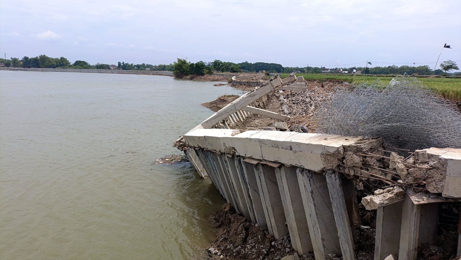 WhatsApp Image 2025 02 08 at 13.16.21