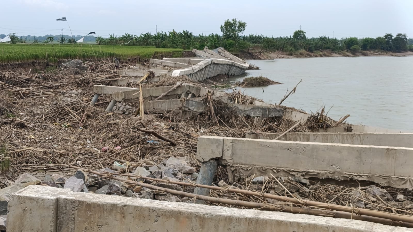 WhatsApp Image 2025 02 10 at 11.19.04