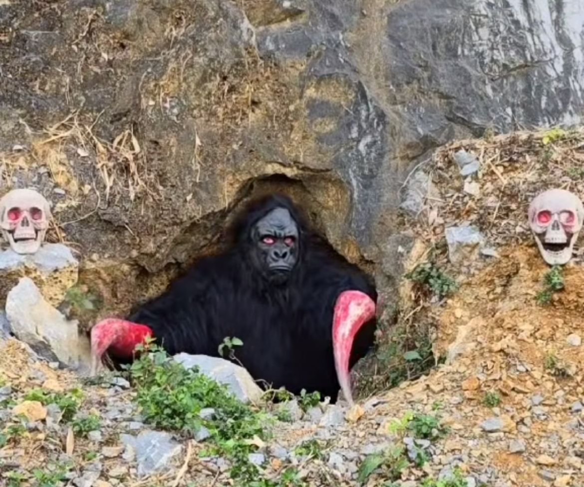 hantu homang