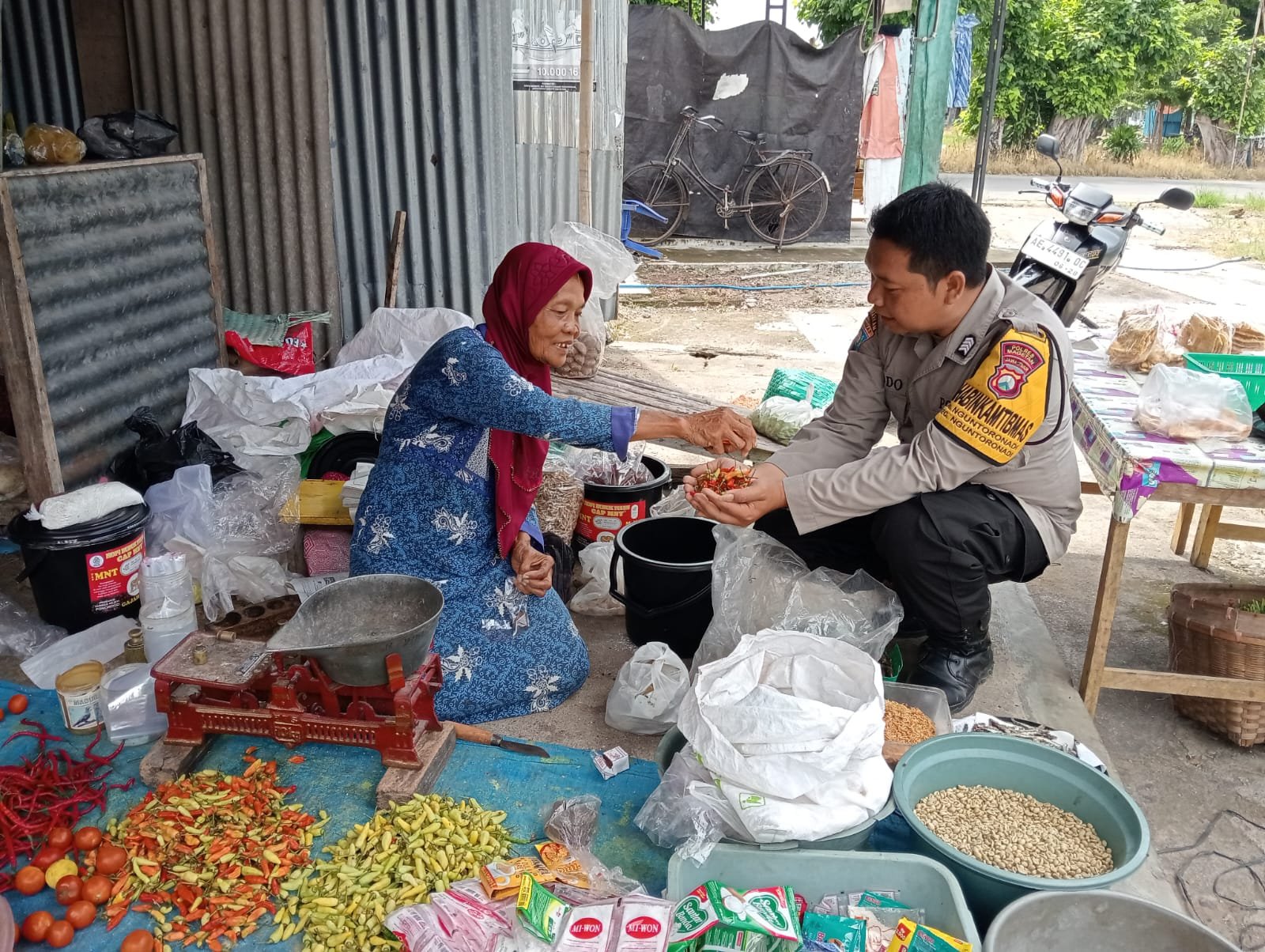 magetan 6