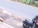 pencuri bwi