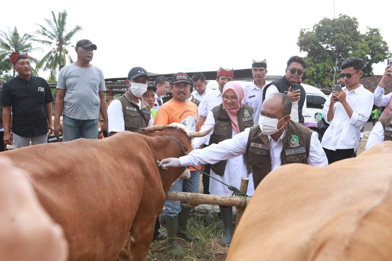 pmk banyuwangi