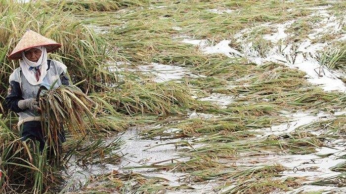 5bc41666-6b5b-456e-9ead-2e4dceb9a725 5bc41666 6b5b 456e 9ead 2e4dceb9a725