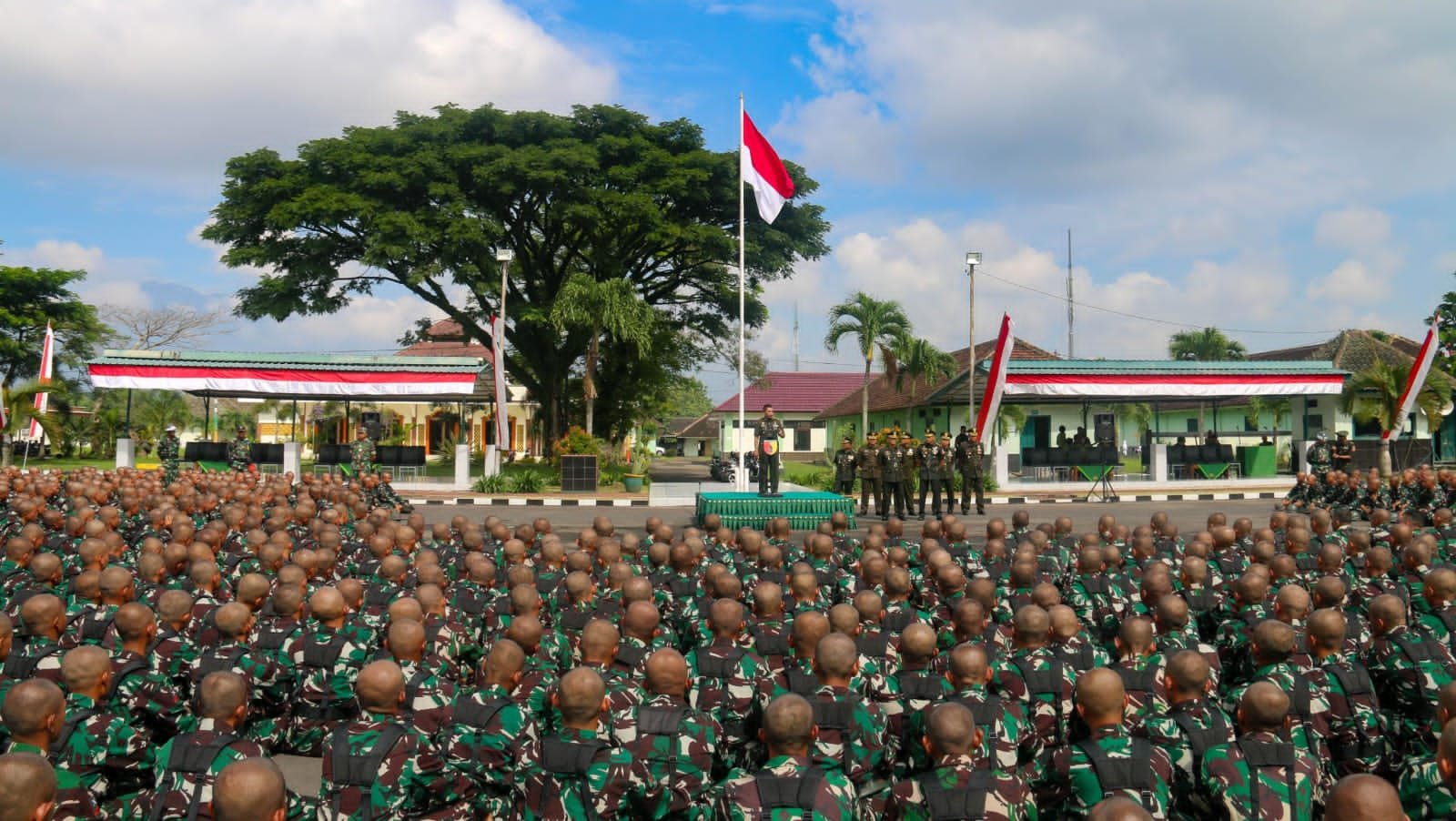 IMG-20250301-WA0014 IMG 20250301 WA0014