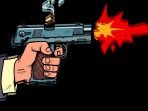 PISTOL ILUSTRASU