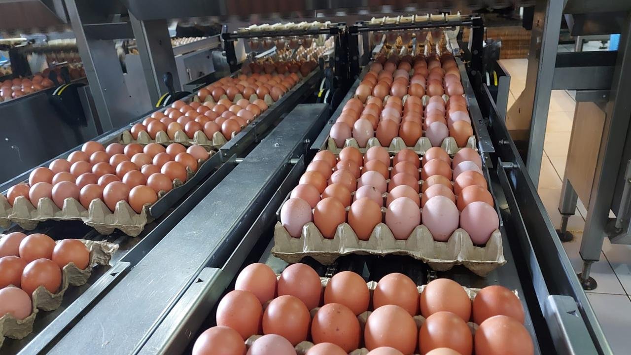 1f725d01 4f87 4455 bac7 c5b8fbec8e6c