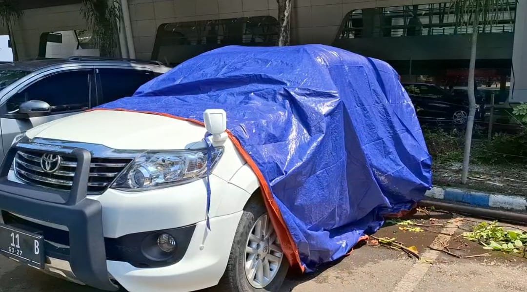 IMG-20250402-WA0014 IMG 20250402 WA0014