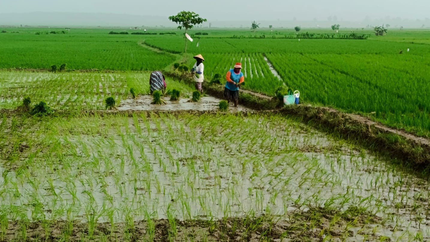 WhatsApp Image 2025 04 12 at 12.15.02