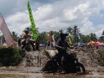 pertanian banyuwangi