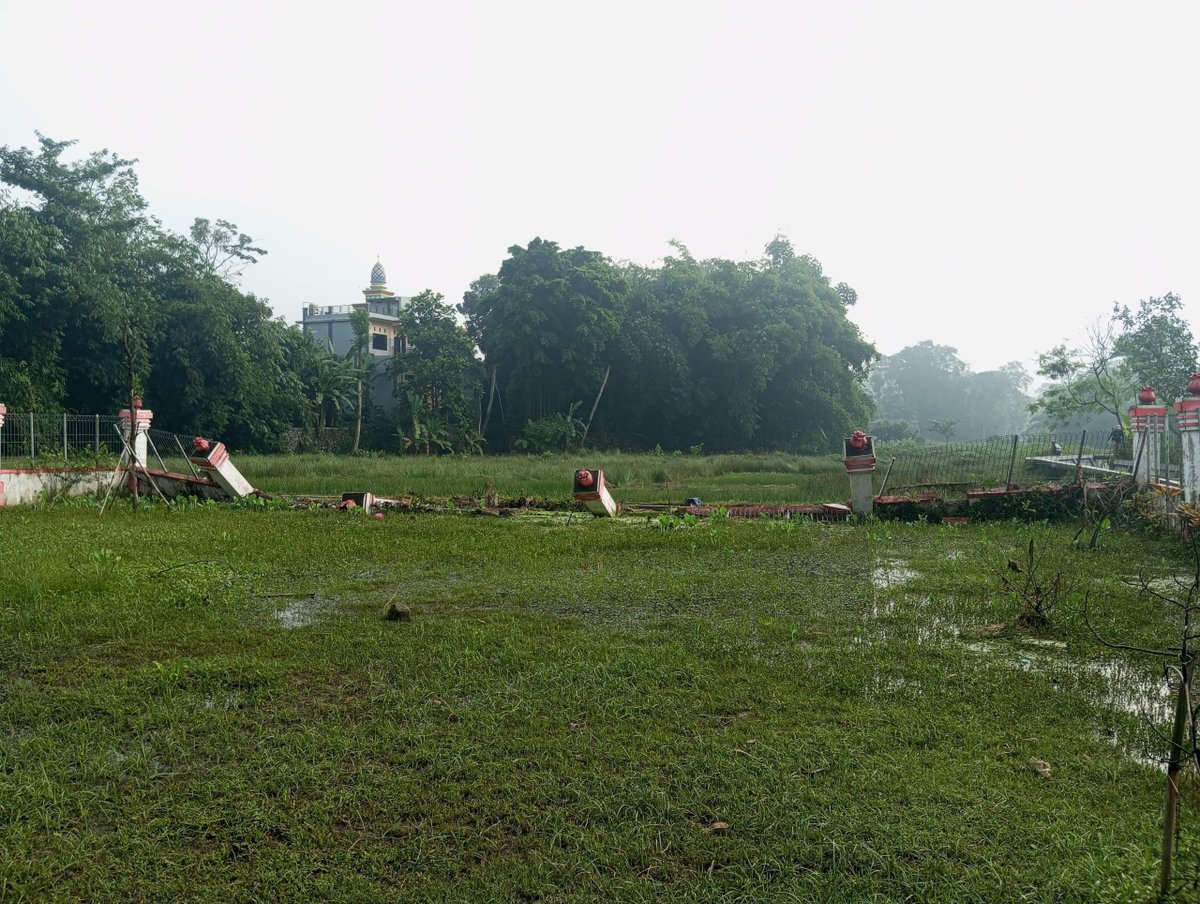 2577a996 9b93 450b ba12 198ca1f6b410 scaled