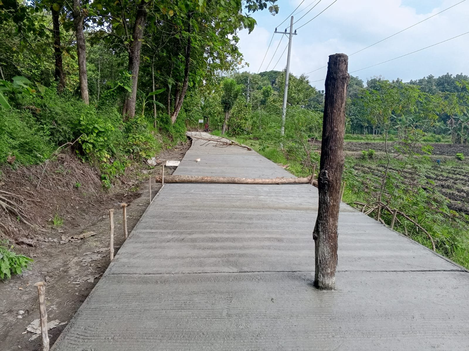 dd0636b5 ded3 4763 943b ab685beae919