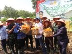 magetan magetan 2