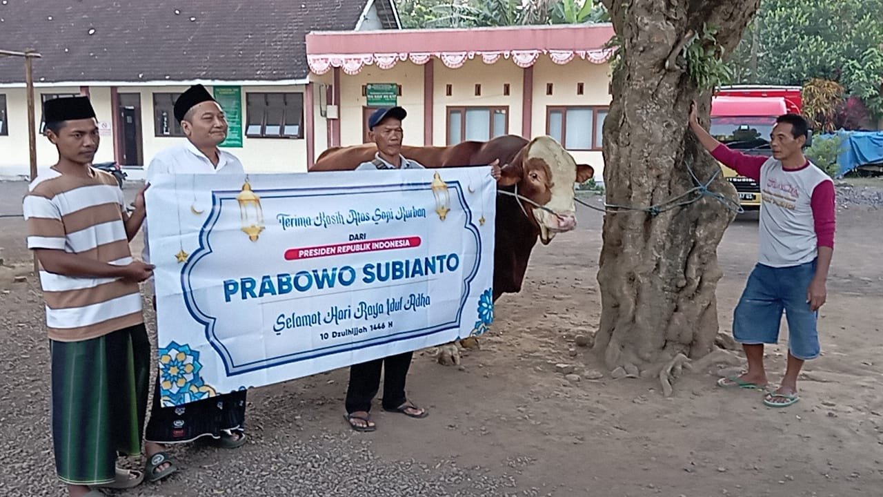 IMG 20250605 WA0050