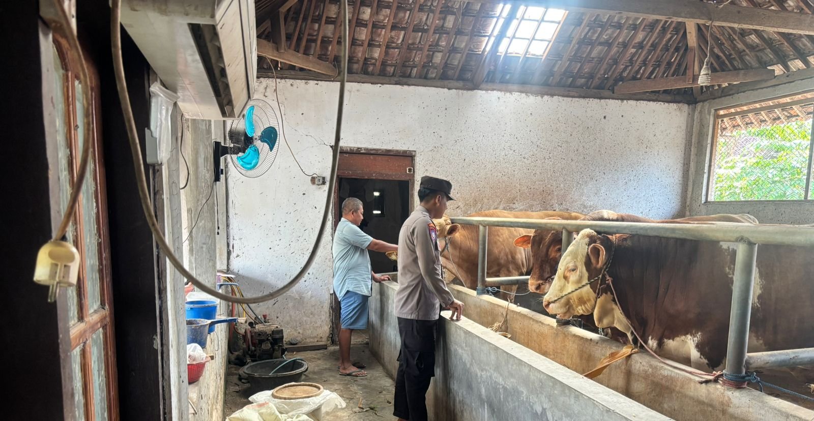 IMG-20250609-WA0008 IMG 20250609 WA0008 1