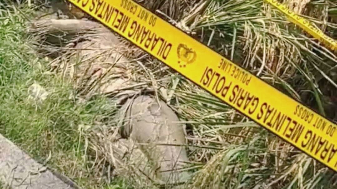 IMG-20250623-WA0033 IMG 20250623 WA0033