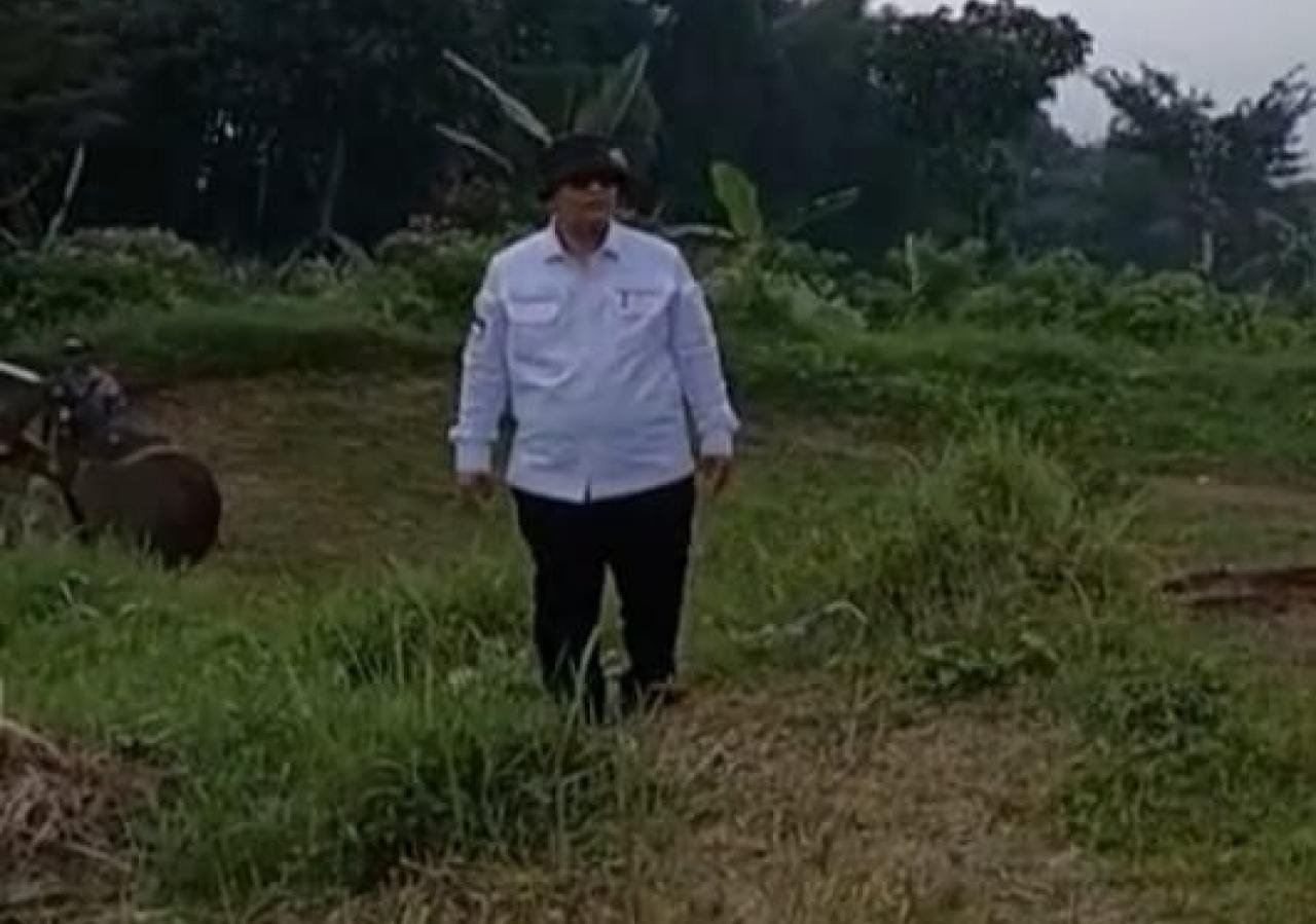 WhatsApp Image 2025-06-11 at 16.57.20 WhatsApp Image 2025 06 11 at 16.57.20