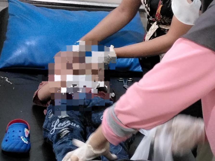 11dcd8f1 a279 4af4 bb12 9f62569f575f