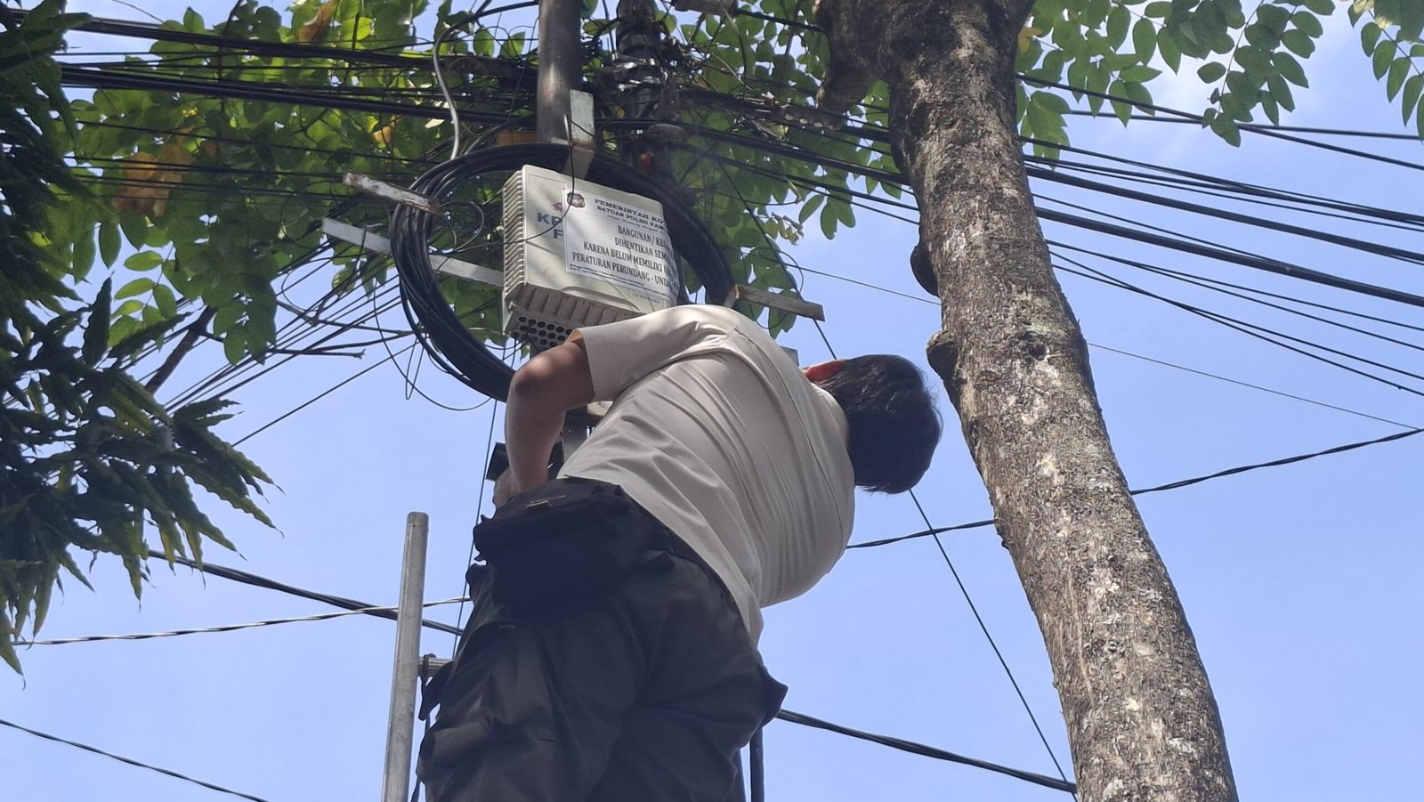 ea32ab5f 062e 49d0 b8d2 f75ec4b84526 scaled