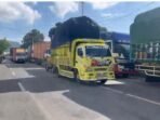 ketapang2