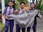 tdbi