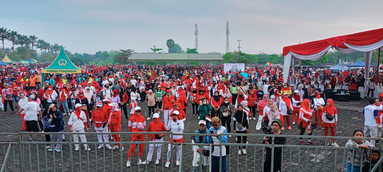 144dd798 0617 41bd a0ed 2f52e5311873