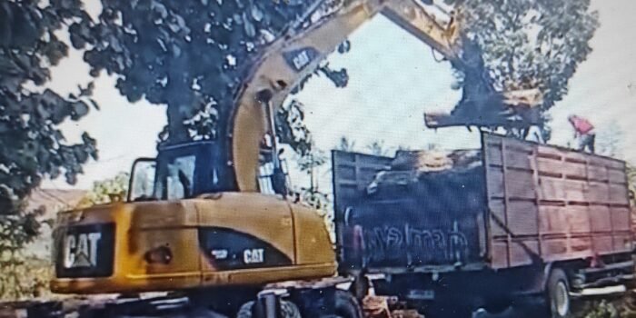ESKAVATOR