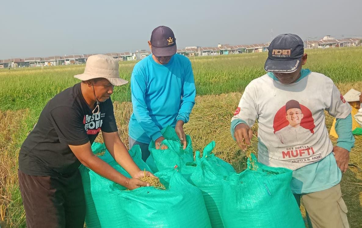 WhatsApp Image 2025 08 19 at 10.44.25