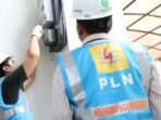 pln 1