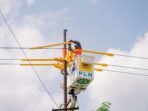 pln