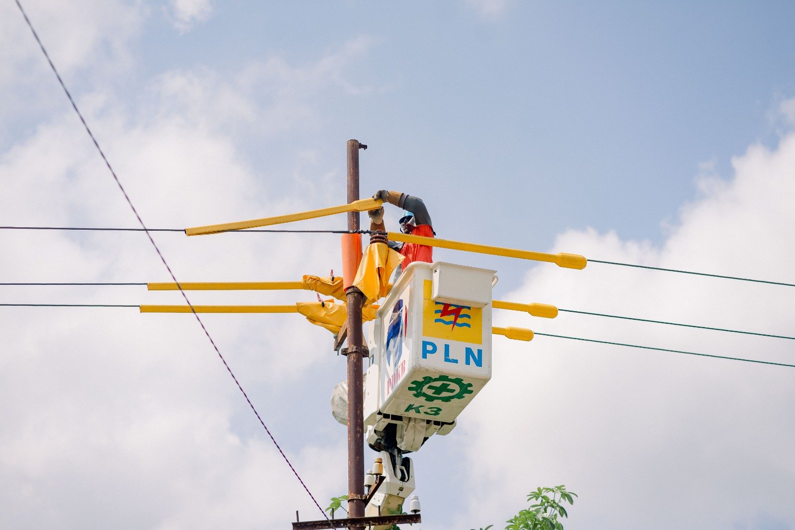 pln