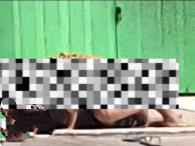 0216ce9e d3bf 4dca 88ee e4e8a6d09155