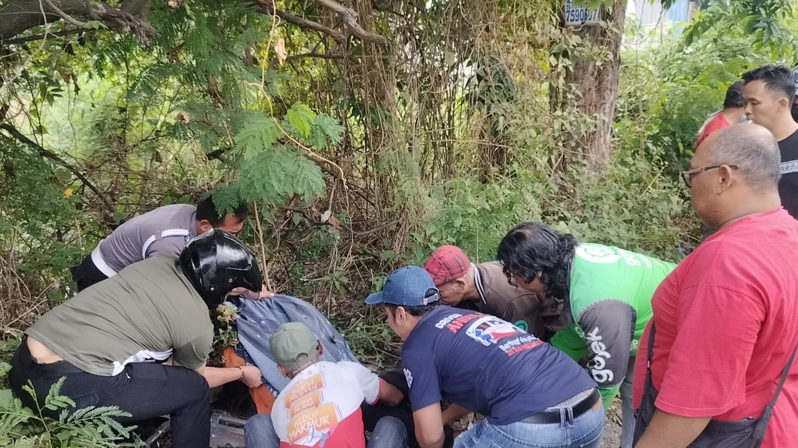 2cbff6ed 95a4 48d4 801f 621561821220