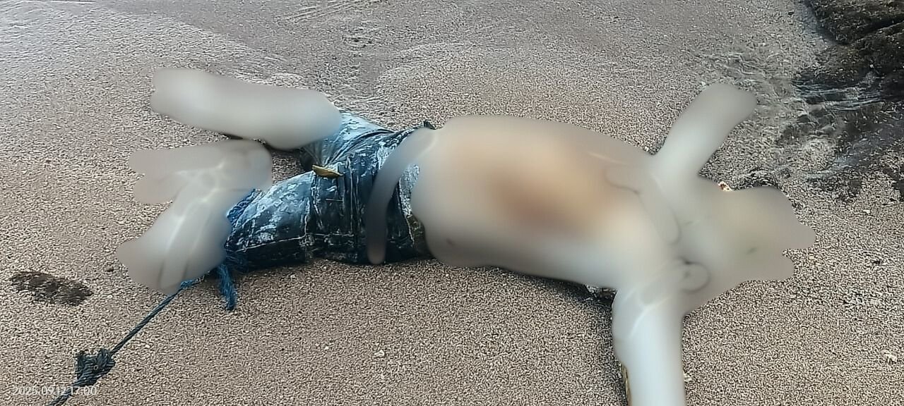 45e4f702-6544-4f48-835f-ff26f779381a 45e4f702 6544 4f48 835f ff26f779381a